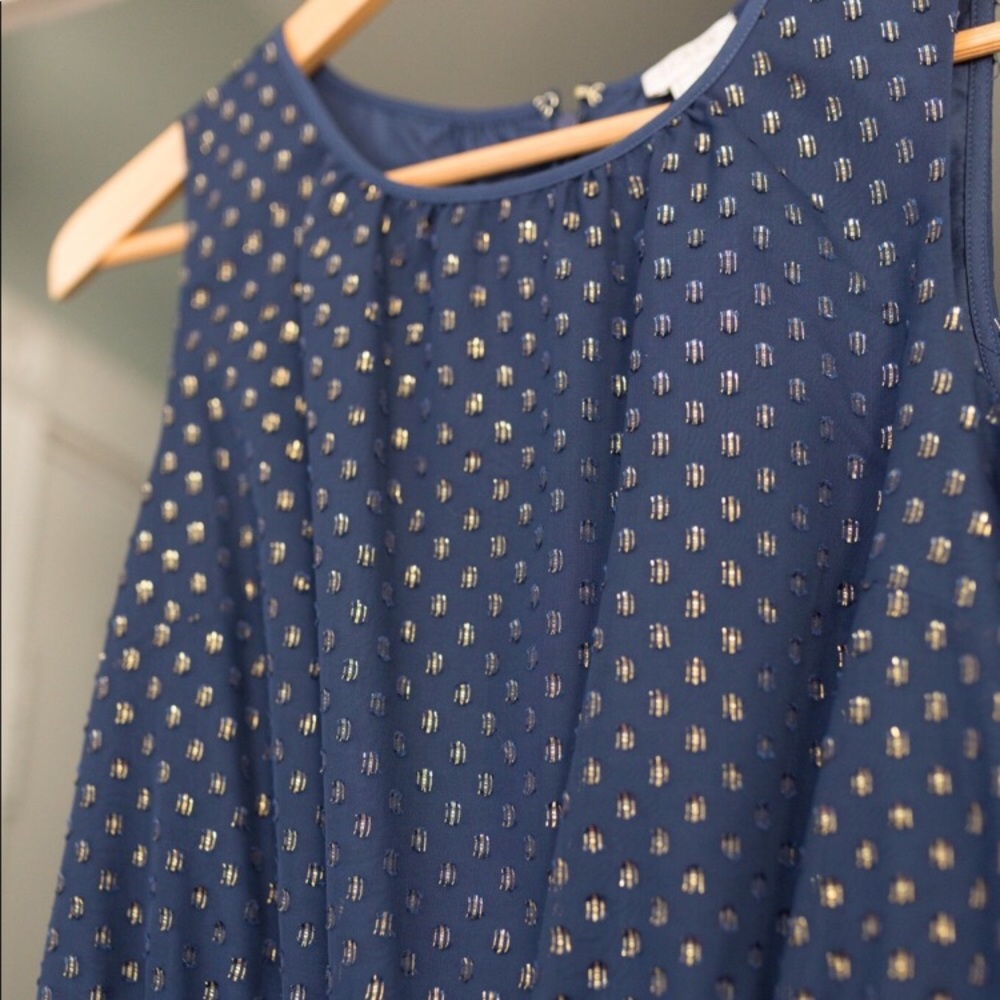 NWT Blue and Gold JCrew Polka Dot Dress